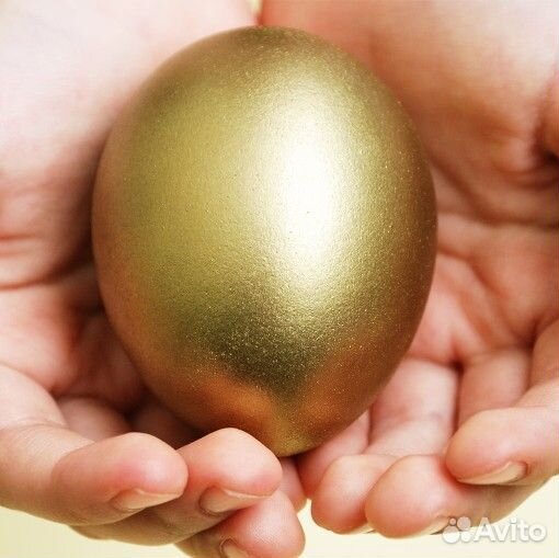 Инкубационное яйцо сельхозназначения