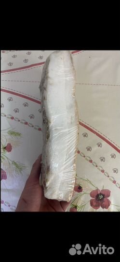 Шпик N1