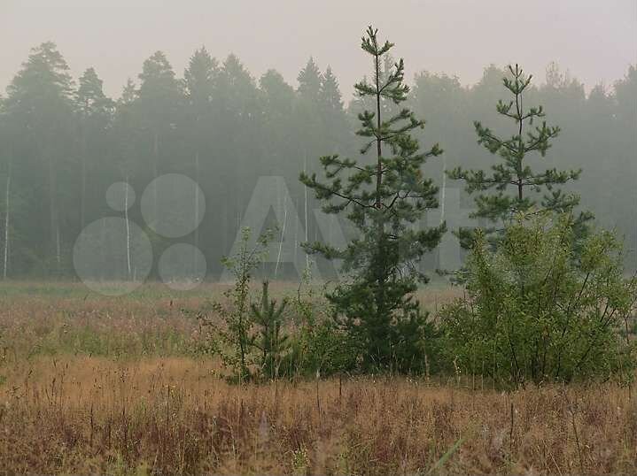 Участок 18 сот. (СНТ, ДНП)