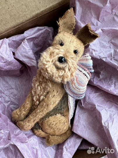 Любимый питомец