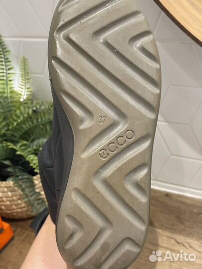 Сапоги Ecco