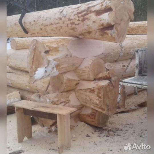 Сруб дома из бревна