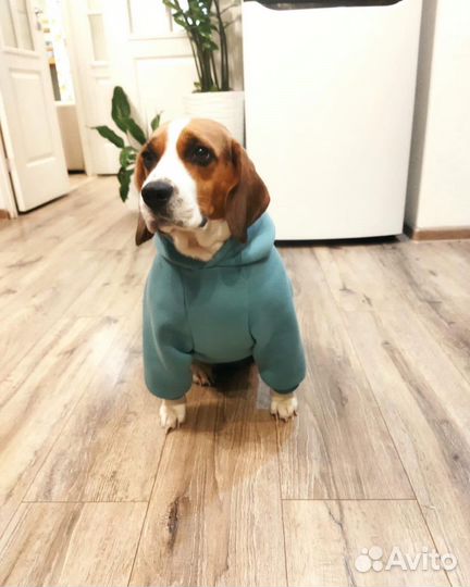 Кофта для собак