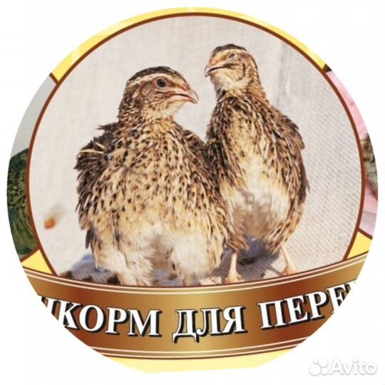 Комбикорм для Перепелов