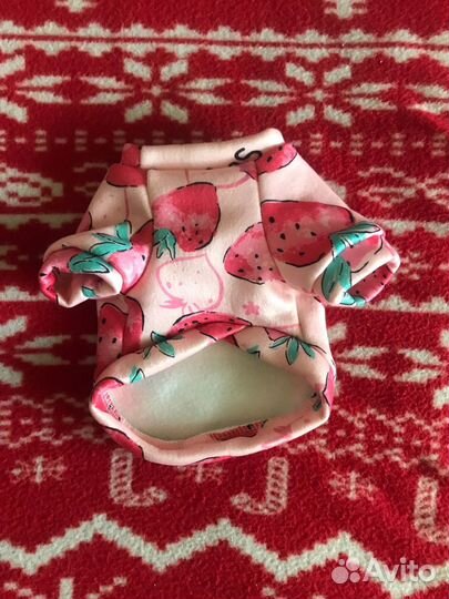 Одежда для собак мелких пород