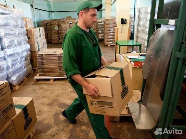 Грузчик с ежедневной оплатой