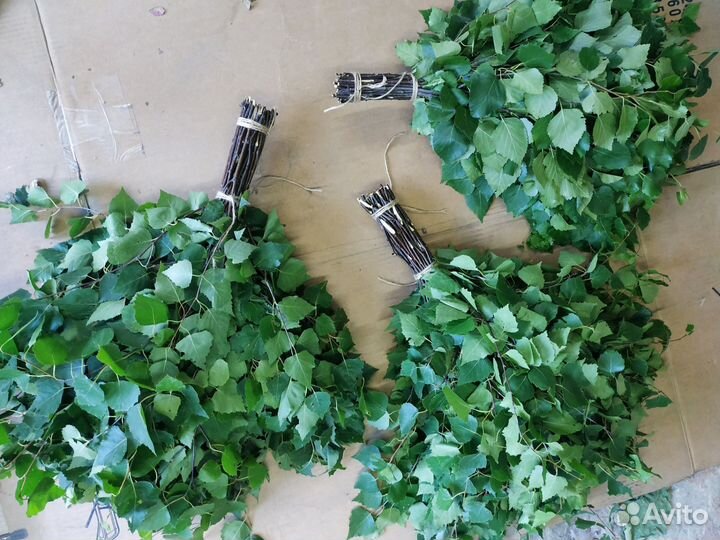 Берëзовые замороженные веники для бани