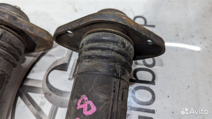 Амортизатор задний Nissan Murano PNZ51 VQ35DE 2008