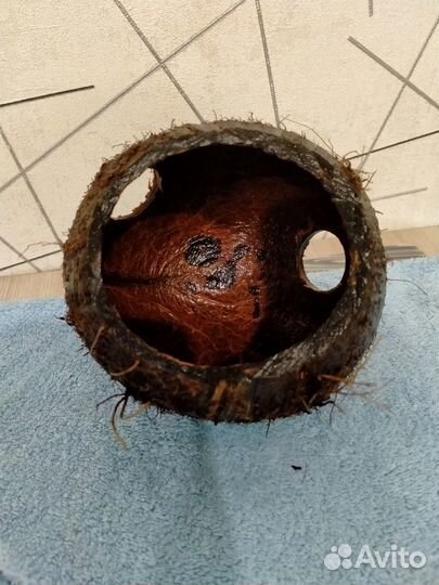 Кокос-укрытие для рыб, раков. Домики для хомячков