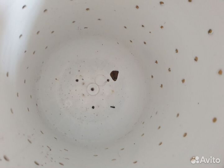 Стиральная машина полуавтомат 5 кг