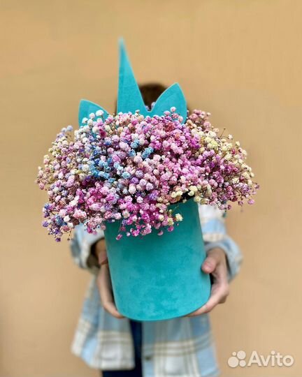 Цветная Гипсофила в Коробке. Доставка/Самовывоз