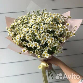 Букет из ромашек 19 25 35 51 101 Розы Пионы