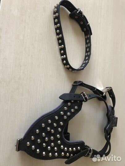 Ошейник и шлейка на крупную собаку