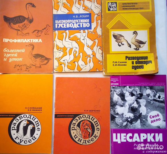 Птицеводство. Инкубация яиц. Гуси. Куры. Индейки