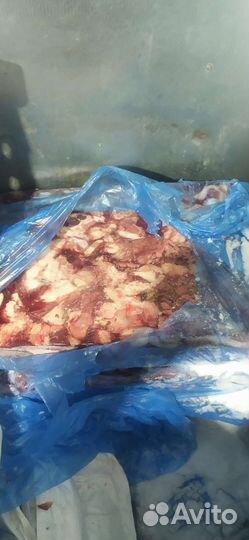 Мясо для собак