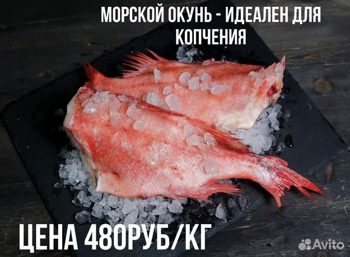 Рыба тунец дорадо горбуша судак окунь треска