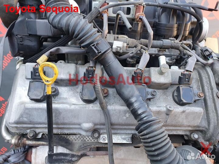 Двигатель 2UZ-FE Toyota Sequoia
