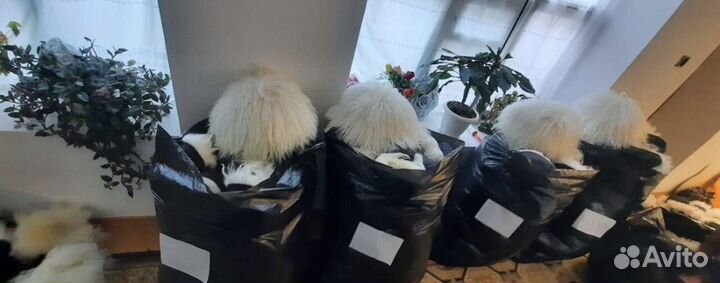 Папахи оптом и в розницу