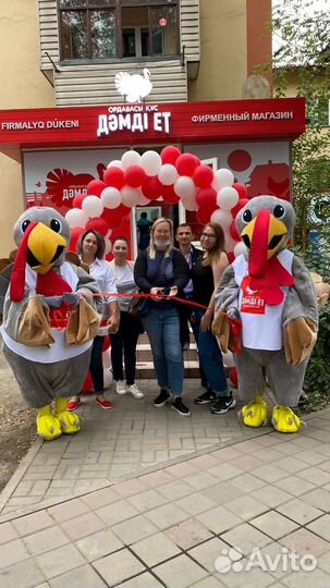 Скрипты и система продаж, бизнес-копирайтер