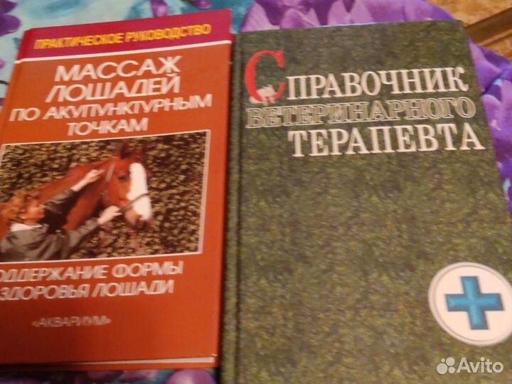 Путеводители Полиглот и другие, разговорники