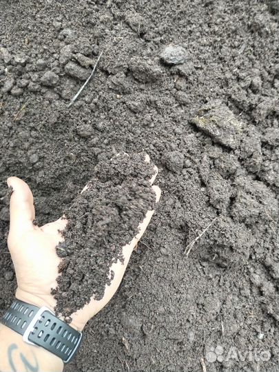 Земля плодородная сеянная чернозем