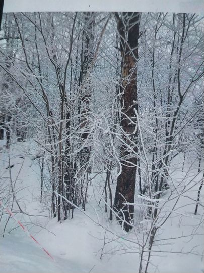 Участок 6,8 сот. (ИЖС)