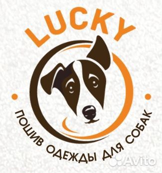 Пошив одежды для собак. Вакансия швеи