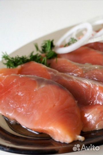 Рыба малосоленая (горбуша,кета, форель, семга )