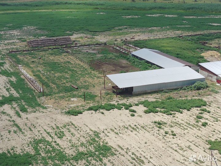 Животноводчекая ферма