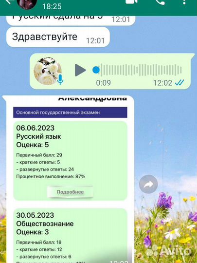 Репетитор по русскому языку, подготовка к школе
