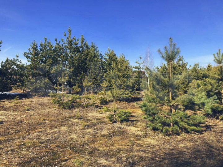 Участок 18 сот. (СНТ, ДНП)