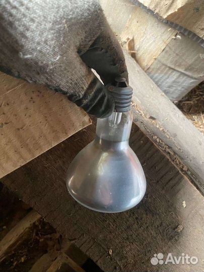 Лампочка зеркальная для обогрева