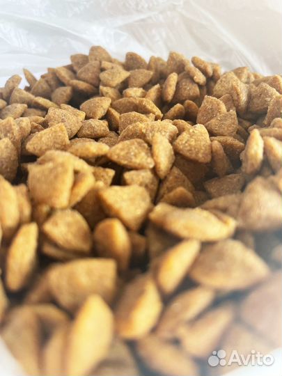 Корм Royal Сanin/Роял Канин мини паппи 10кг