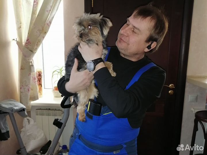 Ремонт холодильников Ремонт стиральных машин 1 час