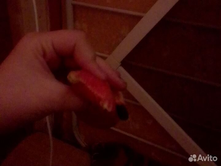 Игрушка для кота