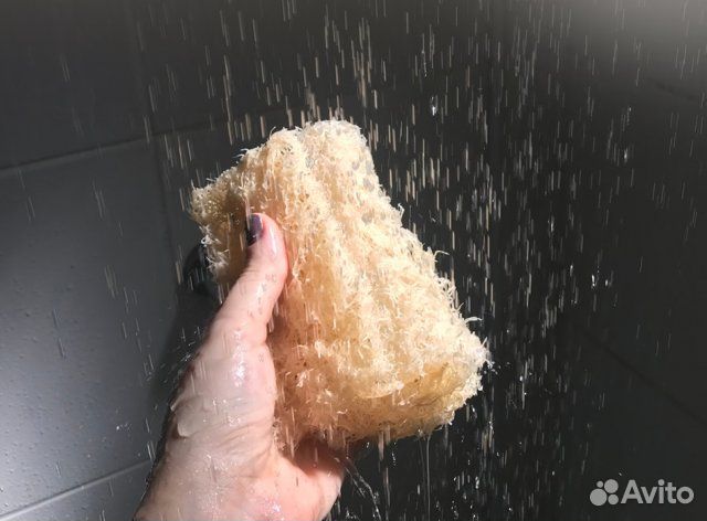 Люффа семена