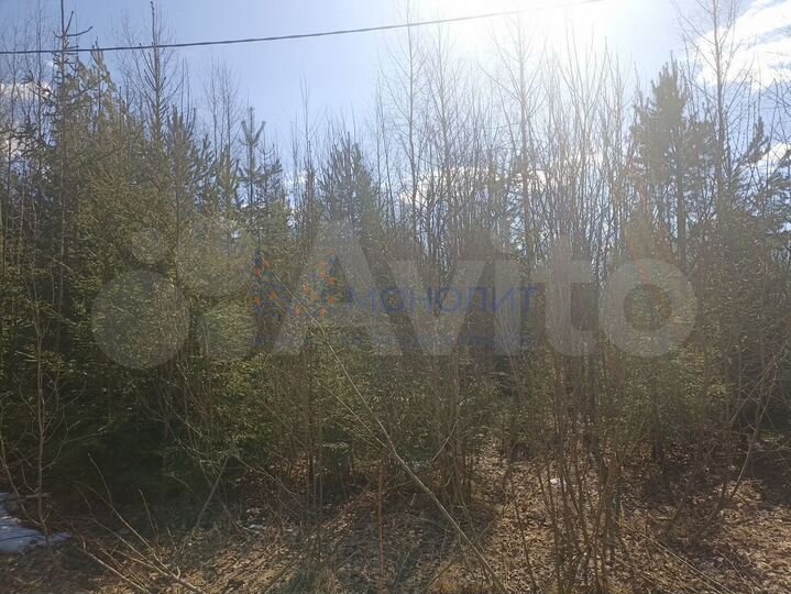 Участок 10 сот. (ИЖС)