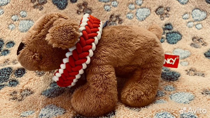 Ошейники из паракорда