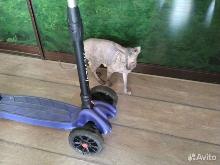 Самокат детский трехколесный бу