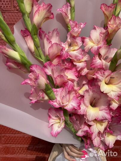 Букет Гладиолусов