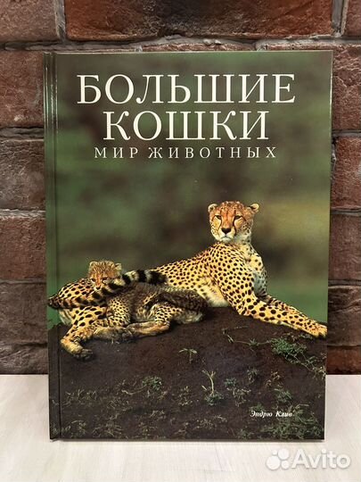 Книги Мир животных