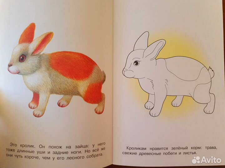 Обучающие пособия для детей