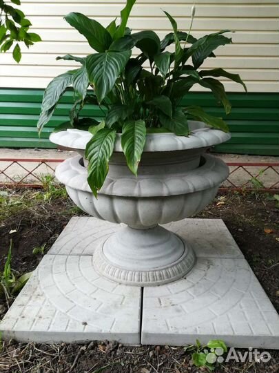 Вазон, Петергоф