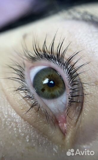 Ламинирование и ботокс ресниц