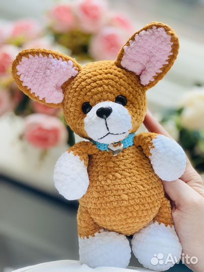 Корги