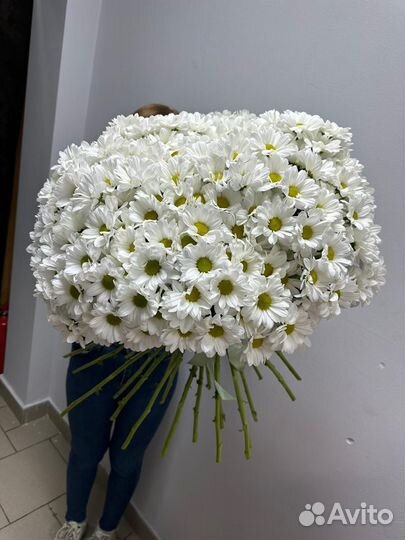 Букет хризантем гигант