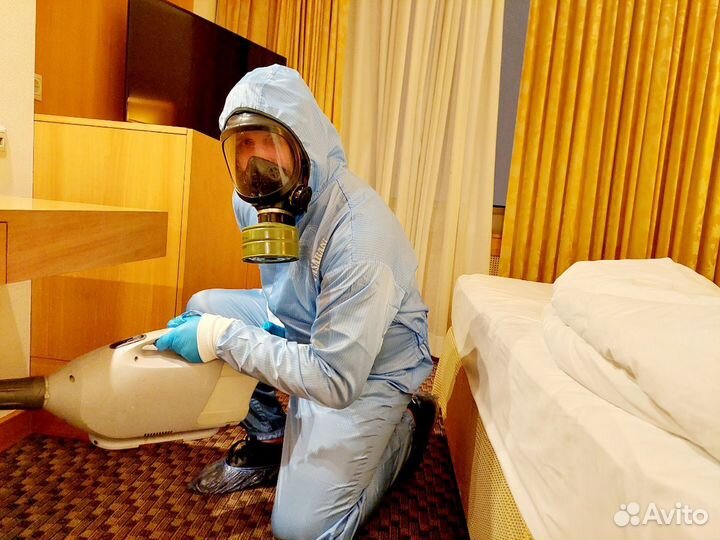 Уничтожение клопов, тараканов. Обработка участков