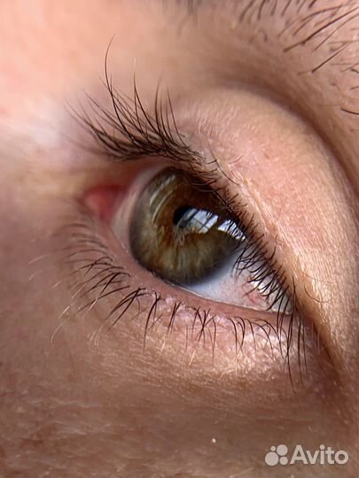 Объектив линза для фото