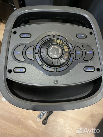 Колонка 1000w + 220v