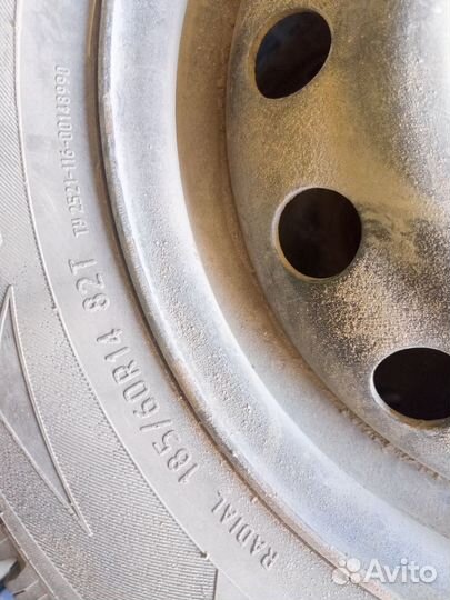 Кама ирбис r14